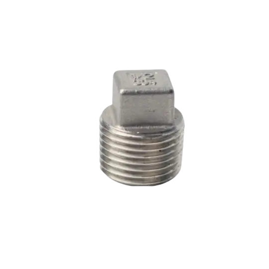 Square Plug Fitting Stainless BSPT