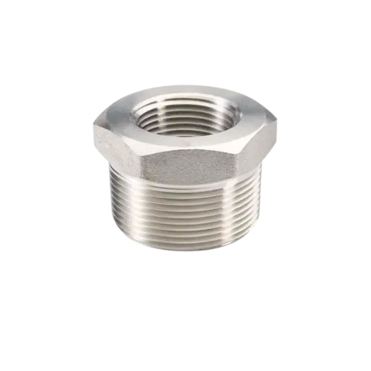 Hex Bushing Fitting Stainless BSPT